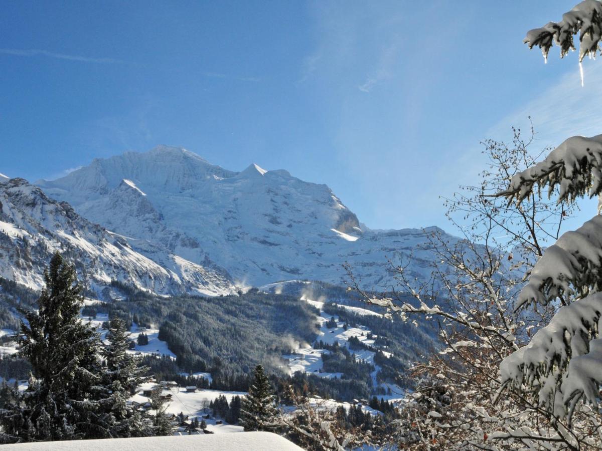 Apartment Panorama By Interhome Wengen Exterior foto